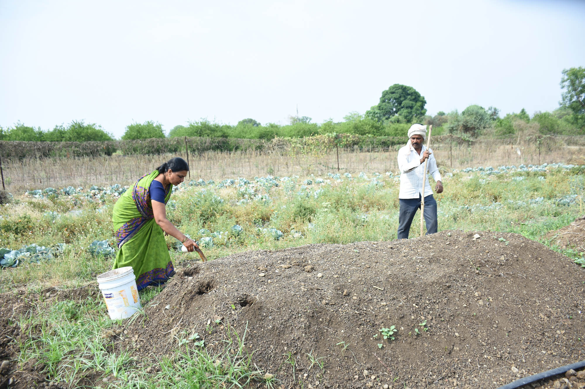 KrushiVandana Farm