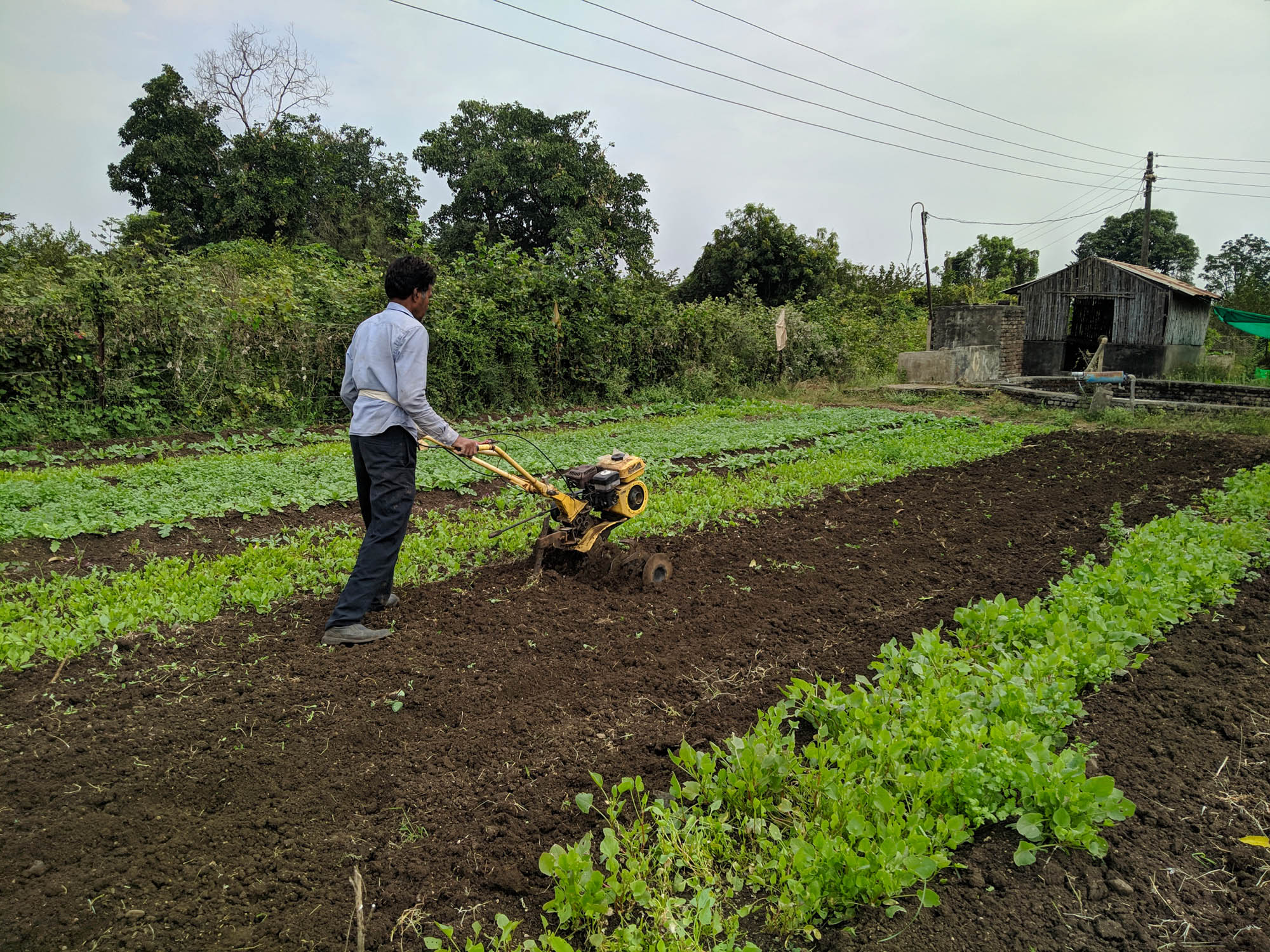 Organic Farming