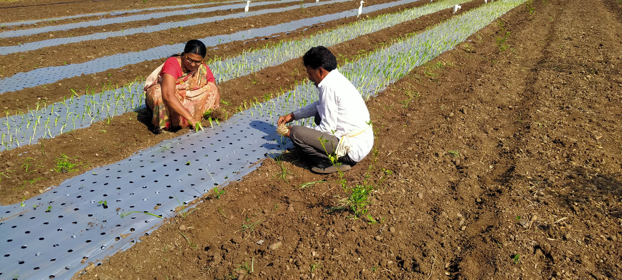 Visitors at Farm