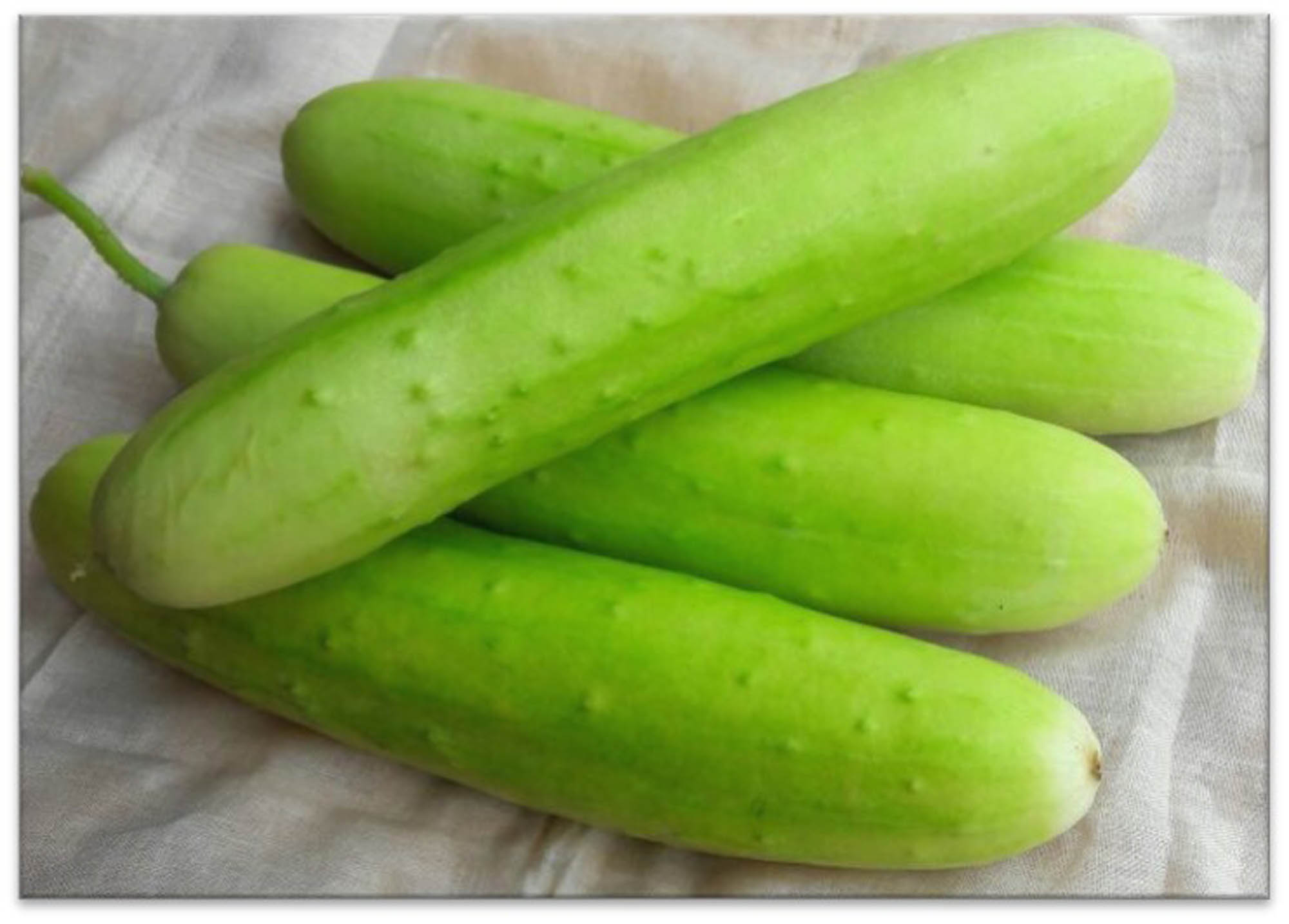 Cucumber