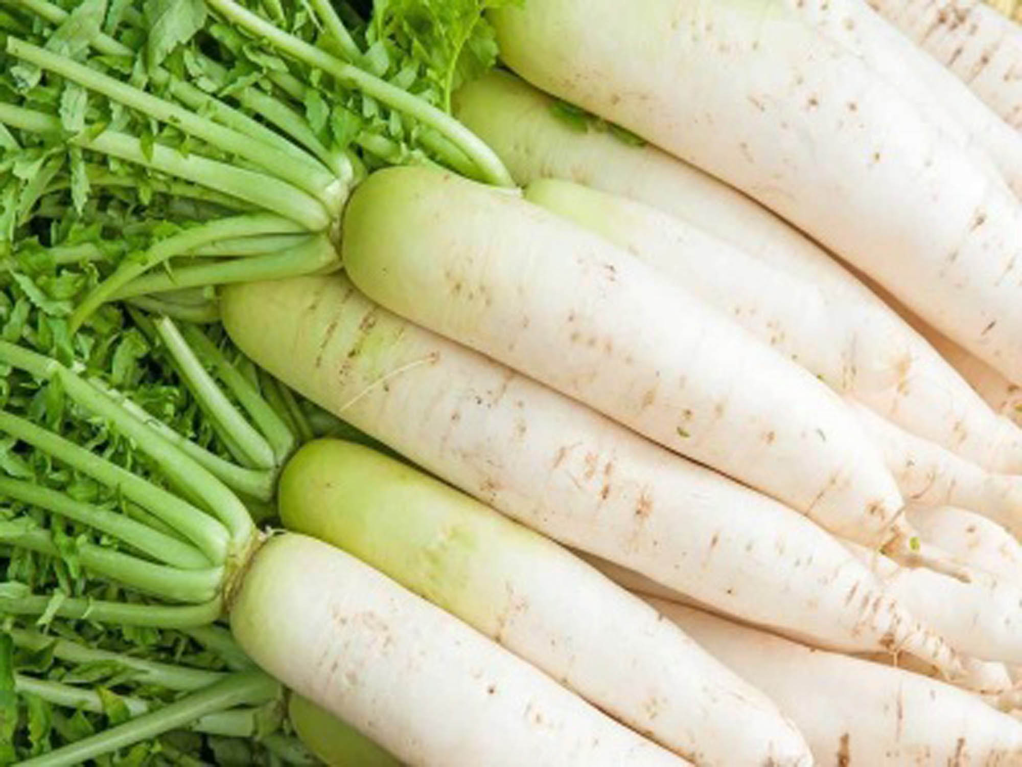 Radish
